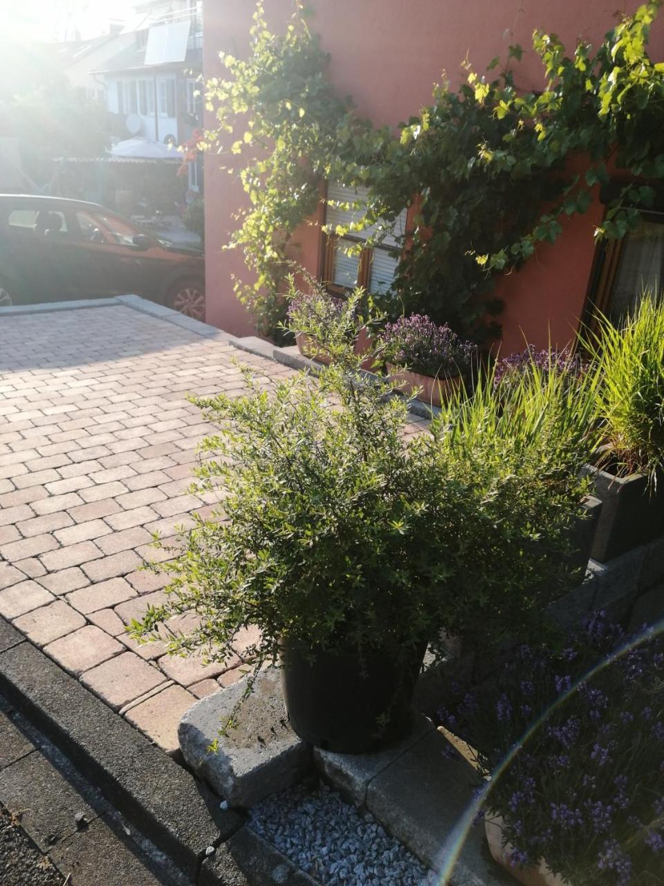 Haus Meersburg See מראה חיצוני תמונה